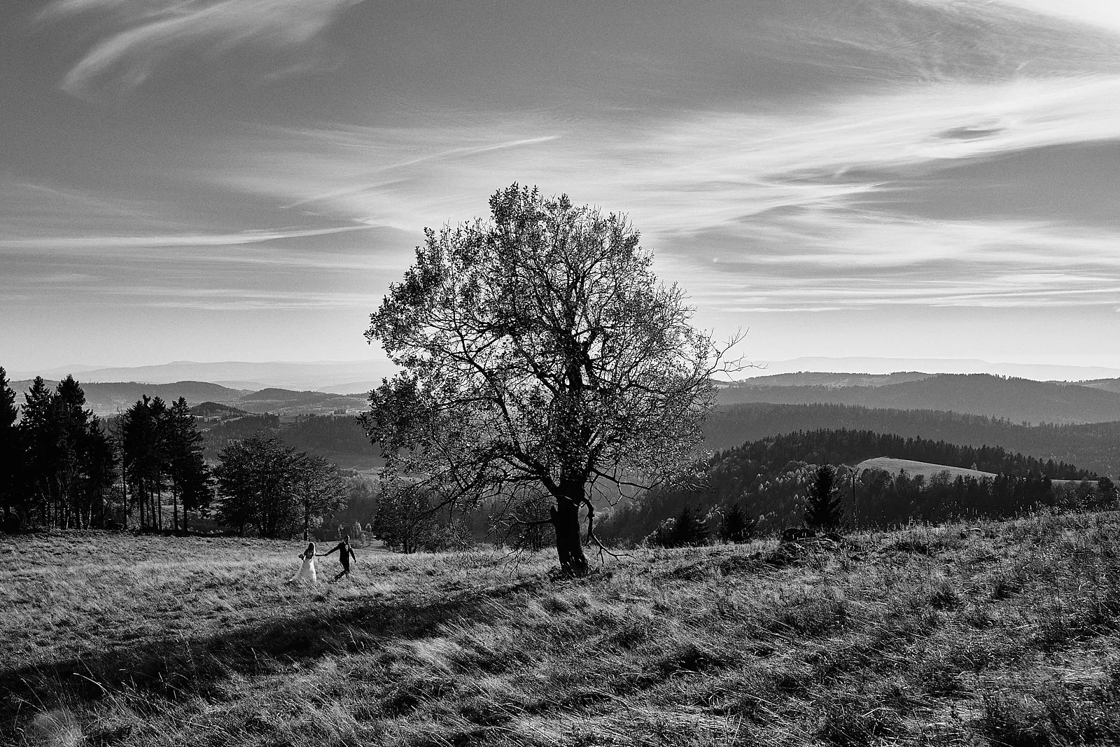 Sesja ślubna w Górach Sowich - para młoda na tle panoramy Sudetów.